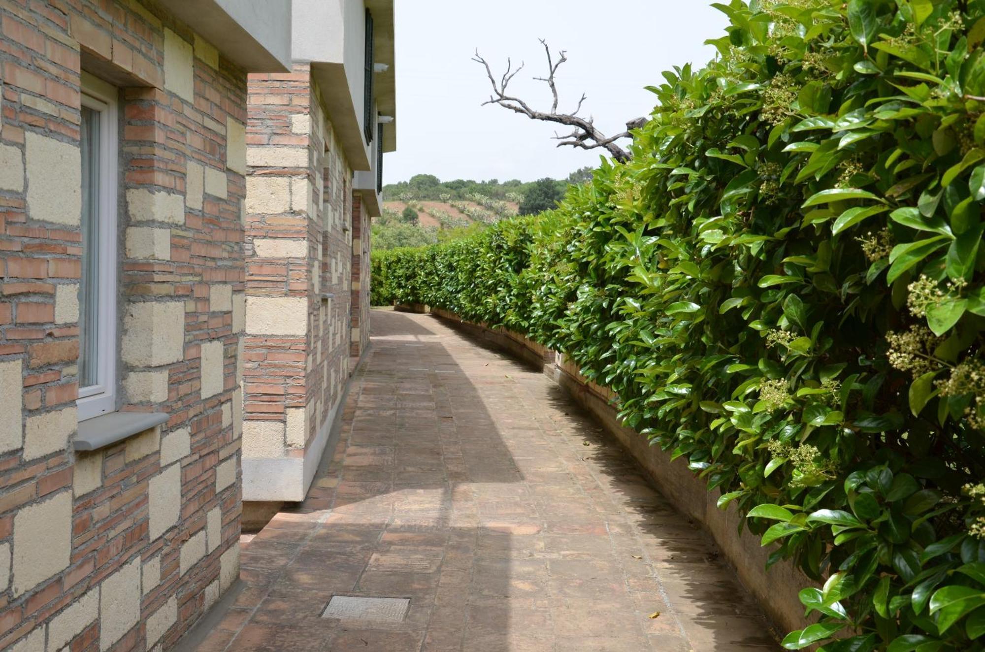Bed and Breakfast Borgo Piazza Катандзаро Номер фото